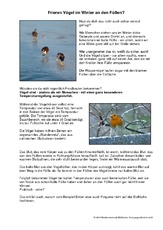 Frieren-Vögel-an-den-Füßen.pdf